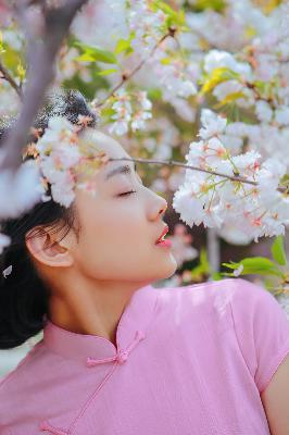 好好生活电视剧免费观看完整版