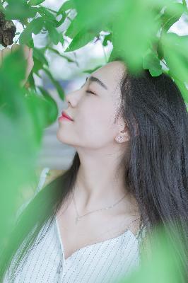 金瓶梅电影在线观看